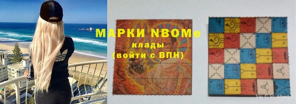 прущие грибы Вязники