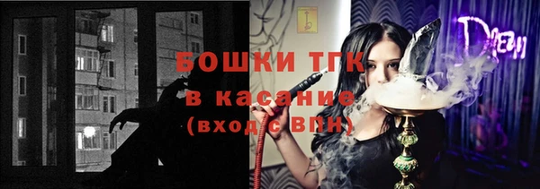 тгк Вяземский
