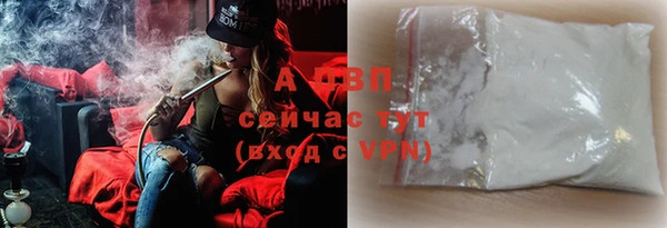 прущие грибы Вязники