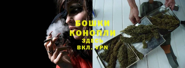 прущие грибы Вязники