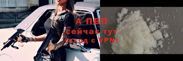 прущие грибы Вязники