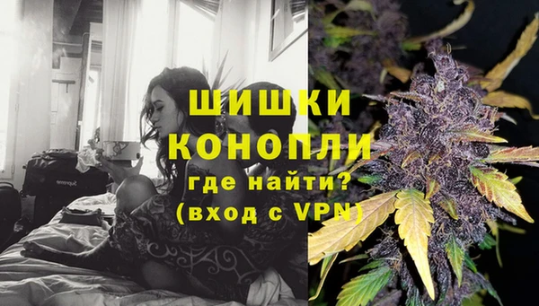 прущие грибы Вязники