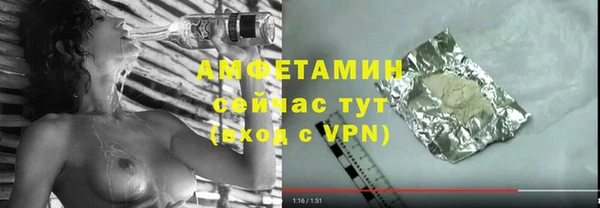 прущие грибы Вязники
