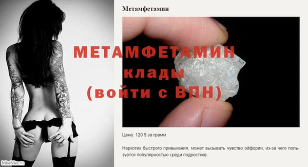 прущие грибы Вязники