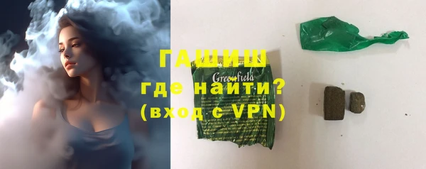 прущие грибы Вязники