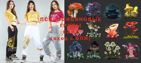 тгк Вяземский