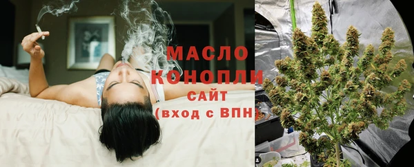 тгк Вяземский