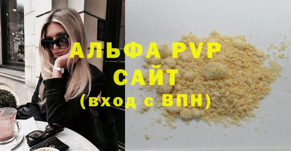 прущие грибы Вязники