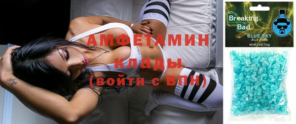 прущие грибы Вязники