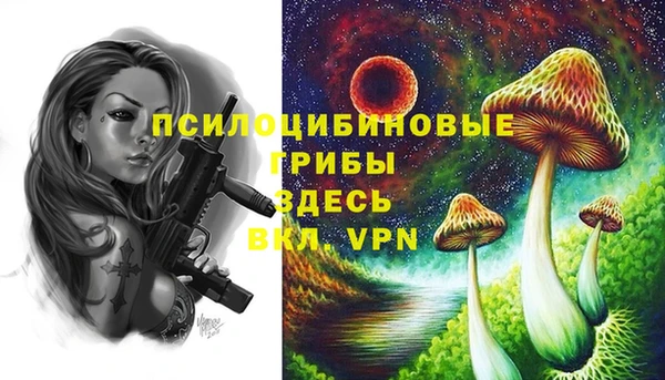 прущие грибы Вязники