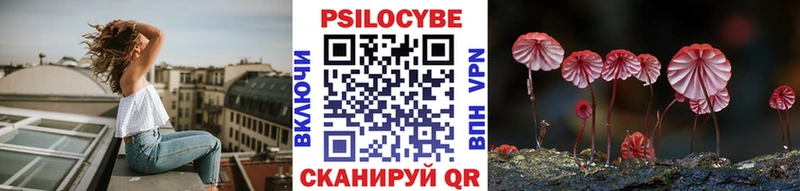 Галлюциногенные грибы Psilocybine cubensis  kraken как войти  Пересвет 